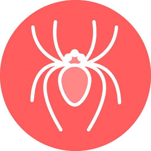 Spider - Gauri - 1