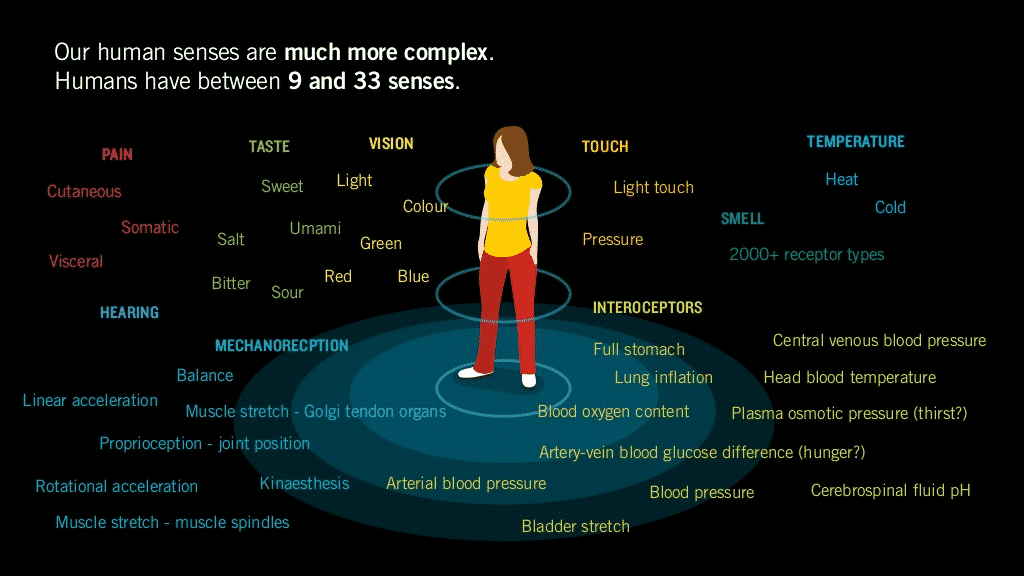 Cassini Nazir - Design of the Past, Present, and Future