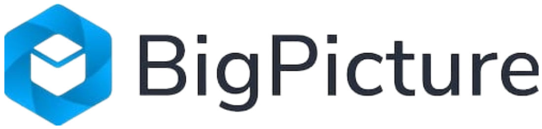 BigPicture logo