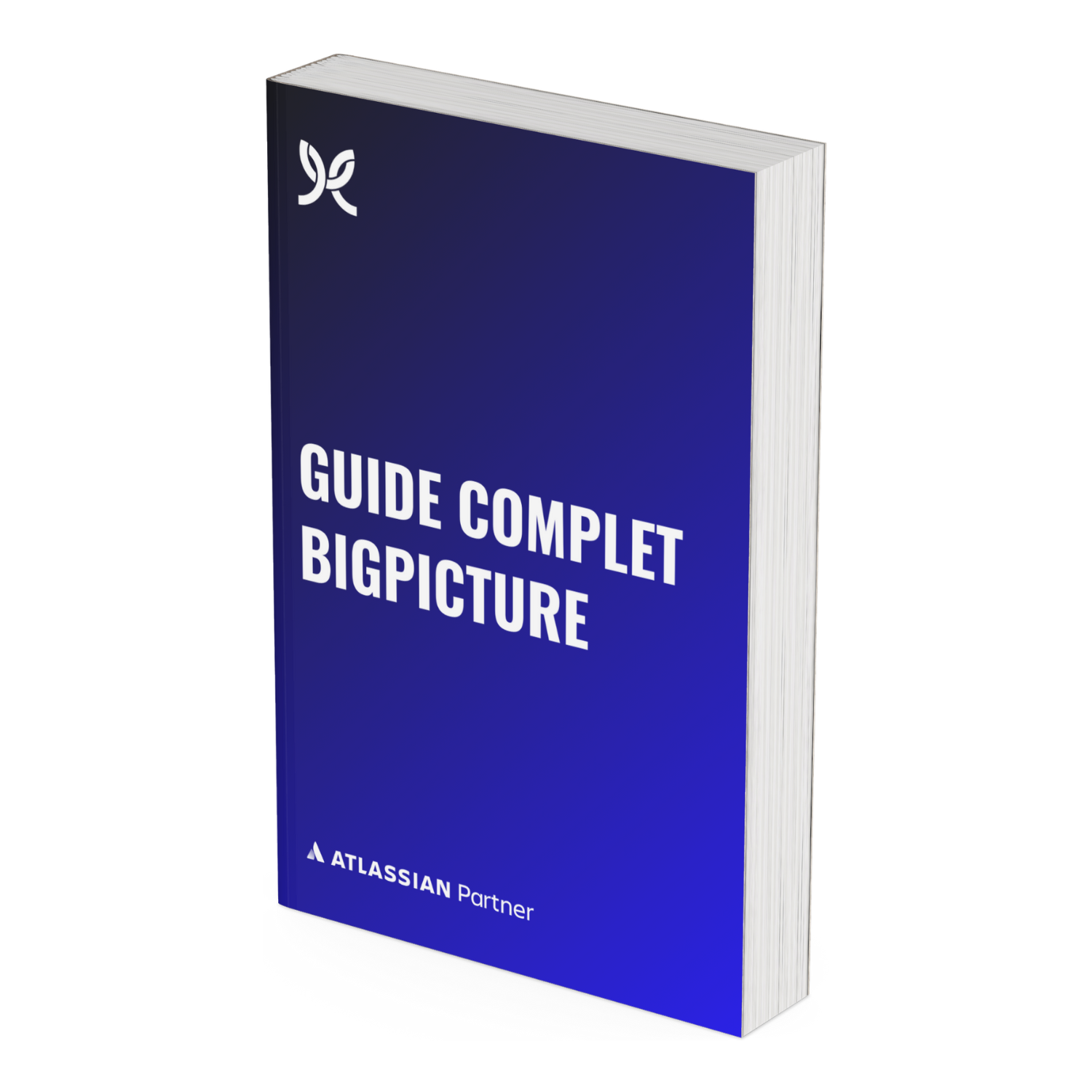 Guide Complet BigPicture